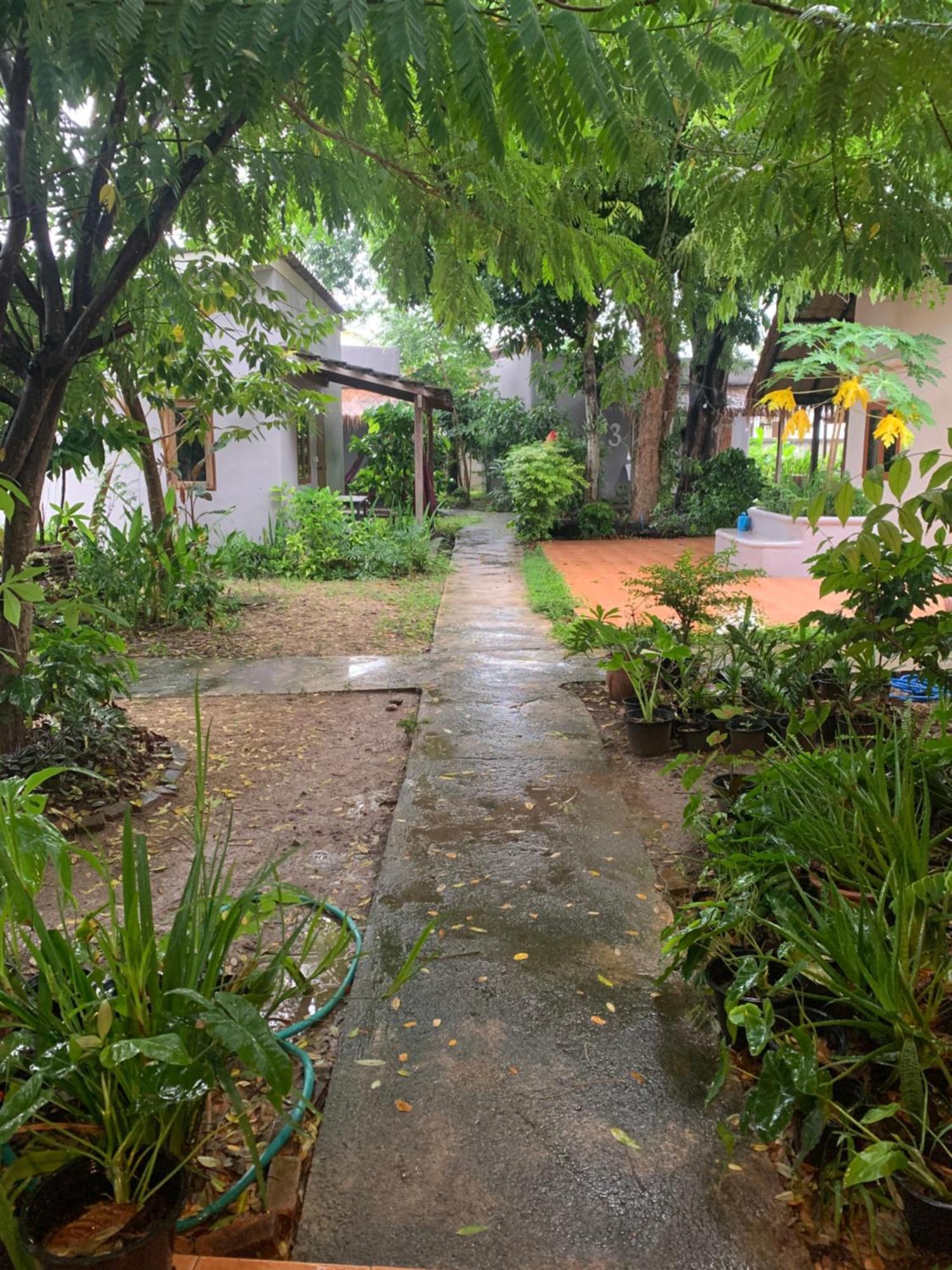 บ้านใจแปงโฮมสเตย์ Ban Jaipang Homestay Pai Dış mekan fotoğraf