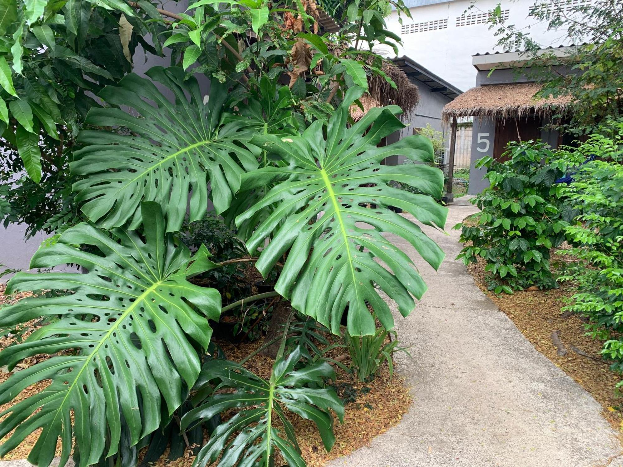 บ้านใจแปงโฮมสเตย์ Ban Jaipang Homestay Pai Dış mekan fotoğraf