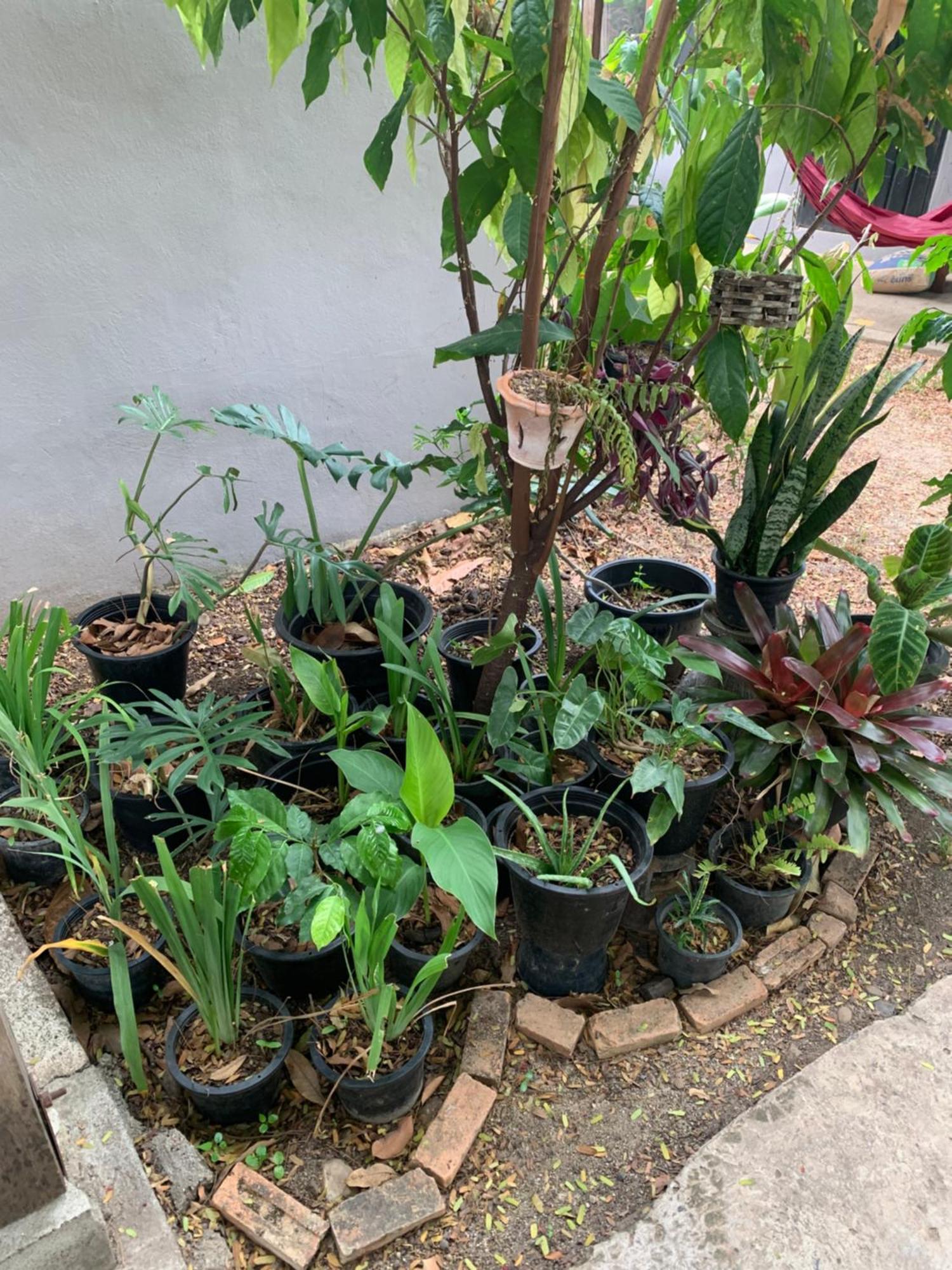 บ้านใจแปงโฮมสเตย์ Ban Jaipang Homestay Pai Dış mekan fotoğraf